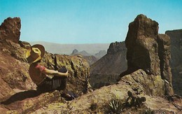 CARTE POSTALE ORIGINALE DE 9CM/14CM : BIG BEND NATIONAL PARK THE SOUTH RIM OF THE CHISOS MOUNTAINS WEST TEXAS  USA - Big Bend