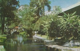 CARTE POSTALE ORIGINALE DE 9CM/14CM : SAN ANTONIO RIVER SAN ANTONIO TEXAS  USA - San Antonio