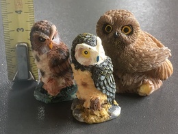 LOT DE 3 CHOUETTES En Résine - Birds - Owls