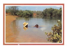 Fishing, Broome Style, Western Australia Unused - Broome