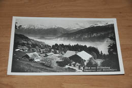 1029- Blick Vom Beatenberg Auf Thunersee............ - Beatenberg