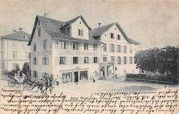 Horgen Hotel Weingarten - Horgen