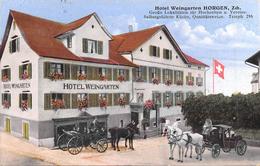 Horgen Hotel Weingarten Kutschen - Horgen