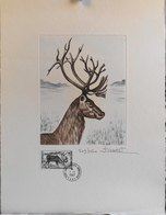 T.A.A.F. 1987 N° 123 - EPREUVE D'ARTISTE Signée : J. COMBET - Faune Antarctique Le RENNE - Daté 1.1.1987 - T - Artist Proofs