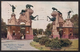 HAMBURG - STELLINGEN / 1915 AK  "HAGENBECK'S TIERPARK" GELAUFEN (ref CP621) - Stellingen