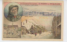 LES COLONIES FRANÇAISES - SAINT PIERRE ET MIQUELON - La Rade De Saint Pierre , Séchage De La Morue - Saint Pierre And Miquelon