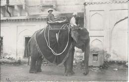 CPA éléphant ELEPHANT Non Circulé Inde India Asie Carte Photo RPPC - Elefanti