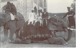 CPA éléphant ELEPHANT Non Circulé Inde India Asie Carte Photo RPPC - Olifanten