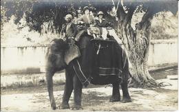 CPA éléphant ELEPHANT Non Circulé Inde India Asie Carte Photo RPPC - Elefanten