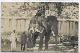 CPA éléphant ELEPHANT écrite JAIPUR Inde India Asie Carte Photo RPPC - Elephants