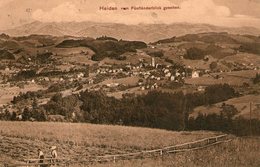 (68) CPA  Heiden Funflanderblick Gesehen (Bon Etat) - Heiden