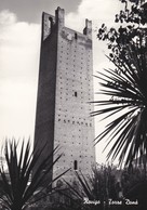 CARTOLINA - POSTCARD - ROVIGO - TORRE DONA' - Rovigo