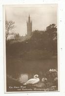 Cp , ECOSSE, Kelwingrove ,Glasgow , The Swan Pond And University , Vierge , Ed. Davidson's Real Photographic Series - Lanarkshire / Glasgow