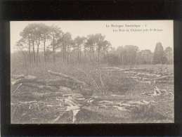 22 Ploufragan Les Bois Du Chatelet Près St Brieuc édit. Binet N° 7 La Bretagne Touristique - Ploufragan