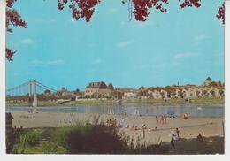 907  /   COSNE - Sur - LOIRE  /  Plage Au Bord De LOIRE - Evran