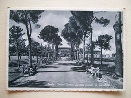 1957 - Imola - Istituto Tecnico Agrario G. Scarabelli -  Cartolina Storica Originale Firmata Dal Grande Angelo Banzola - Imola
