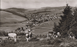 Allemagne - Furtwangen Schwarzwald - Village - Furtwangen