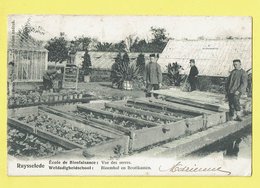 * Ruiselede - Ruysselede * (Uitgever Standaert) école De Bienfaisance, Vue Des Serres, Enfants, Jardin, School, TOP - Ruiselede