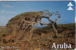 TARJETA TELEFONICA DE ARUBA. 602C, ARBOL, DIVI DIVI TREE Ll (007) - Aruba
