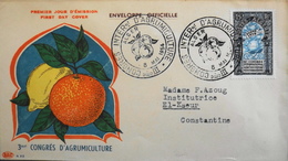 Enveloppe 1er Jour ALGERIE 1954 - 3e Congrés D'Agrumiculture  Affr. N° 311 Y & T -  Daté Alger Le 8.5.1954 - TBE - FDC