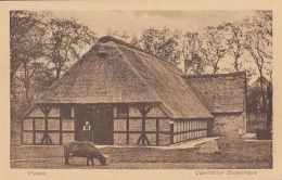 CPA HUSUM- TRADITIONAL HOUSEHOLD, WOODFRAME HOUSE, COW - Husum
