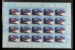 1996 Argentinian Presence In The Antarctic Set, SG 2507/2508, With Each As COMPLETE SHEETLETS Of 20, Never Hinged Mint.  - Other & Unclassified