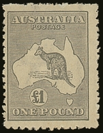 1923-24 £1 Grey Kangaroo, SG 75, Very Lightly Hinged Mint (near NH), Centered To Left, Fresh Colour. For More Images, Pl - Autres & Non Classés