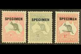 1931-36 10s, £1, And £2 Kangaroo's With "SPECIMEN" Overprints Set, SG 136s/138s, Fine Mint. (3 Stamps) For More Images,  - Other & Unclassified