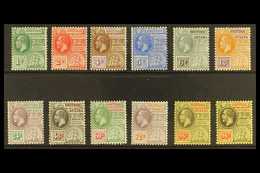1913-21 MCA Wmk Definitive Set Plus An Additional 96c (96c X2, Coloured & White Paper), SG 259/69b, Fine Mint (12 Stamps - Brits-Guiana (...-1966)