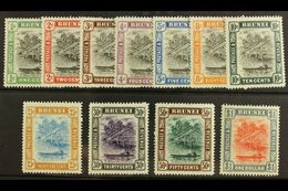 1907 Brunei River Set Complete, SG 23/33, Very Fine And Fresh Mint. (11 Stamps) For More Images, Please Visit Http://www - Brunei (...-1984)