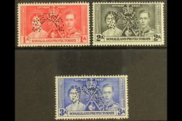 1937 Coronation Set Complete, Perforated "Specimen", SG 40s/42s, Very Fine Mint. (3 Stamps) For More Images, Please Visi - Somaliland (Protettorato ...-1959)