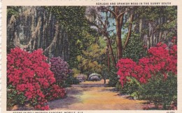 Alabama Mobile Azaleas And Spanish Moss At Bellingrath Gardens Curteich - Mobile