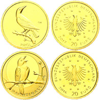 428 2 X 20 Euro, Gold, 2016/2017, A/D, Heimische Vögel-Nachtigall/Pirol, Mit Zertifikat In Acrylbox, St., Katalog: J. 60 - Autres & Non Classés