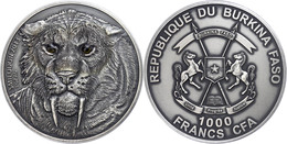 529 1.000 Francs, 2013, Säbelzahntiger - Real Eye Effect, 1 Unze Silber, Etui Mit OVP Und Zertifikat. Auflage Nur 500 St - Burkina Faso