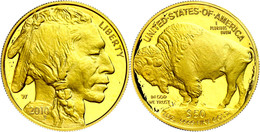 874 50 Dollars, Gold, 2010, American Buffalo, Fb. B20, Berührte PP.  PP - Altri & Non Classificati
