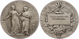 1137 Frankreich, Silbermedaille (Dm. Ca. 41mm, Ca. 37,10g), O.J., Von A. Dubois, Prämienmedaille Des Landwirtschaftsmini - Autres & Non Classés