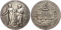 1140 Frankreich, Silbermedaille (Dm. Ca. 41mm, Ca. 35,95g), 1904, Von A. Dubois. Av: Stehende Marianne Neben Bäuerin. Re - Autres & Non Classés