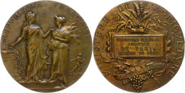 1174 Frankreich, Bronzemedaille (Dm. Ca. 50mm, Ca. 64,99g), O.J., A. Dubois. Av: Stehende Republik Neben Bauersfrau, Dar - Autres & Non Classés