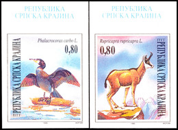 10558 0,80 ND. Geschütze Tiere, Ungezähnt Vom Oberrand, Postfrisch, Katalog: 43/44U ** - Croatia