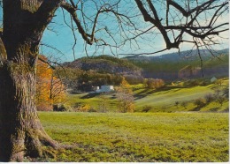 Switzerland,  Suisse, Schweiz, Svizerra - Ruhige Hohenlage, Laufelfingen, Unused - Läufelfingen