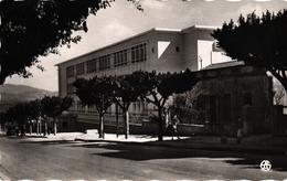 Delcampe - ALGERIE - GUELMA - ECOLE ANATOLE FRANCE - Guelma
