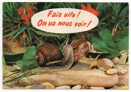 Humour -- 1972 -- Escargots  "Fais Vite,on Va Nous Voir ! " --cachet Chamonix -74 - Humour