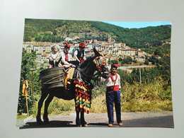 PYRENEES ORIENTALES ROUSSILLON LE VALLESPIR TERRE DE FOLKLORE - Roussillon