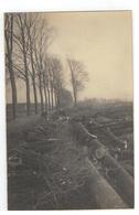 Essen  De Peerdsdreef Te Esschen In Zuidelijke Richting Naar...1924 Fotokaart 14x9cm - Essen