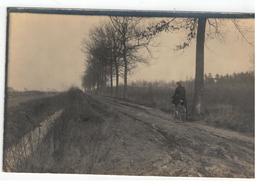 Essen  De Grensweg Te Esschen Afgeboord Met Eikenbomen Uitgekapt Begin Maart 1924 Fotokaart 14x9cm - Essen