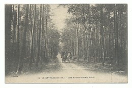 CPA Le Gavre 44 Une Avenue Dans La Forêt - Attelage - 1921 - Le Gavre