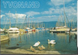 Switzerland, Suisse, Schweiz, Svizzera  - Yvonand Unused - Yvonand