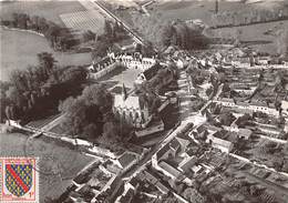 37-CHAMPIGNY-SUR-VEUDE- VUE AERIENNE - Champigny-sur-Veude