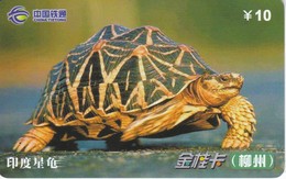 TARJETA DE CHINA DE UNA TORTUGA TERRESTRE (TURTLE) - Schildkröten