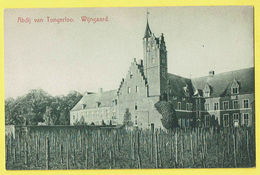 * Tongerloo - Tongerlo (Westerlo - Antwerpen) * Abdij Van Tongerloo, Wijngaard, Viticulture, Couvent, Rare, TOP, Unique - Westerlo